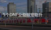 5个DNF公益服宠物升级小技巧