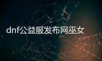 dnf公益服发布网巫女100级装备的最佳选择