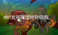 dnf发布网宠物升级的最佳方法与建议